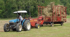 486304-Hay 1.JPG