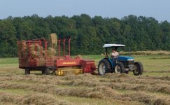 486306-Hay 3.JPG