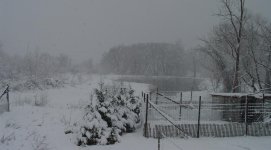 619427-DSC04370.JPG