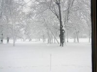 619537-april snow.jpg