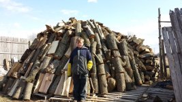 wood pile.jpg