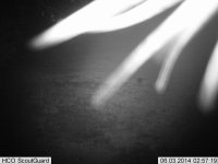 Trail Cam.jpg
