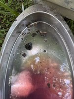 IMG_0443.jpeg