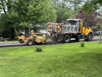 IMG_4762[1].JPG