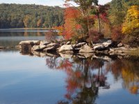 Fall Shot of Snip EM.JPG