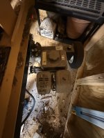 IMG_2064.jpeg