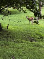IMG_4328.JPG