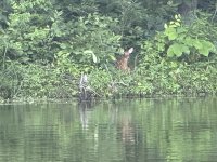 IMG_1736.JPG
