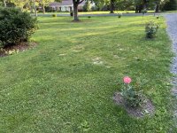 IMG_4799[1].JPG