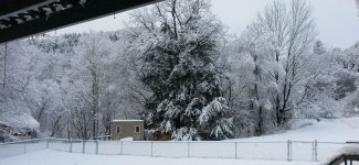 snow  121114.jpg