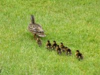 2013_0618newbarn0010.jpg