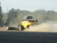 IMG_0980.JPG