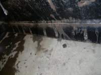 DSCN1432 (Large).JPG