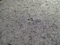 IMG_1107.jpg