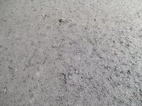 IMG_1104.jpg