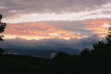 703125-Summer Resized.jpg