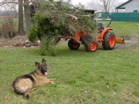 622754-spring cleanup-petra.jpg