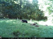 IMG_0127.jpg