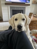 IMG_3467.jpeg