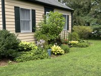 IMG_E4835[1].JPG