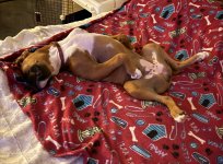 IMG_0893.jpeg