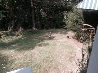 image-166390925.jpg