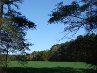 DSC00123.JPG