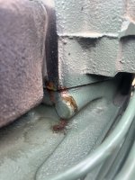 IMG_6513.jpeg