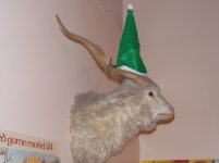 DSCN4130.jpg