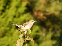 DSCN0363.JPG