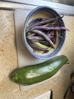 IMG_4878[1].JPG