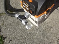Vacuuming wasps 26.jpg