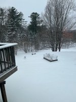 3-24-25.jpg