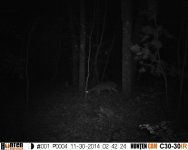 HUNT0004.JPG
