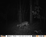 HUNT0005.JPG