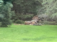 IMG_4905[1].JPG