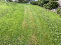 IMG_2277.jpeg