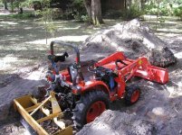 530006-Scottie & Stump.jpg