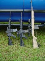 742352-Guns - 4.JPG
