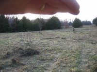782182-Cleared.jpg