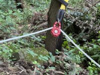 IMG_4919[1].JPG