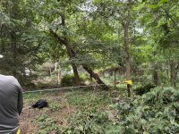 IMG_4921[1].JPG