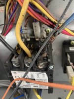IMG_0431.jpeg