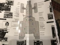 IMG_7554.jpeg