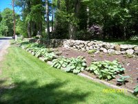 238 Woodland May 28 2012 2011-06-04 011.JPG
