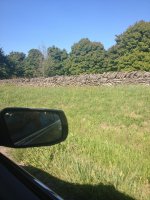 Kentucky walls 2.jpg