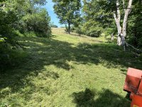 IMG_2205.jpeg