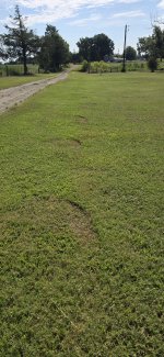 20250725_101931.jpg