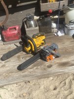 IMG_4951.jpeg