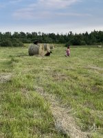 IMG_4299.jpeg